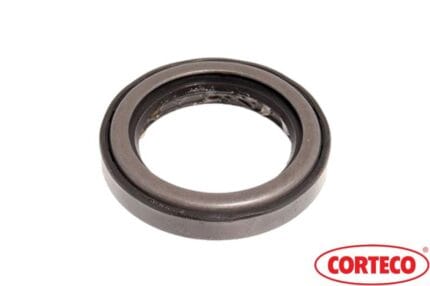 Porya iç keçesi, FTC5268