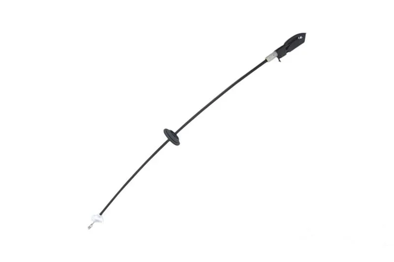 LR019820
